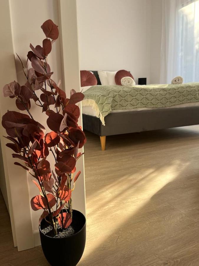 Mathias Premium Apartments セゲド エクステリア 写真